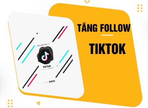 Dịch vụ tăng follow Tiktok nhanh chóng – uy tín