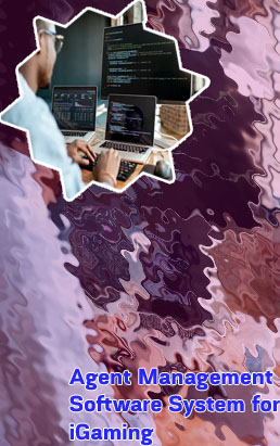 Bookmaker agent software