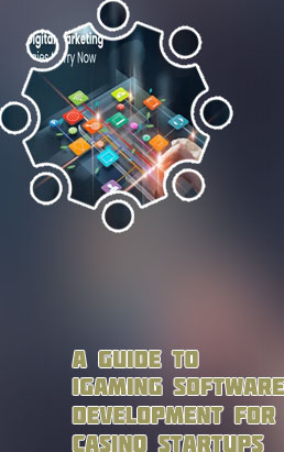 Igaming business software development house