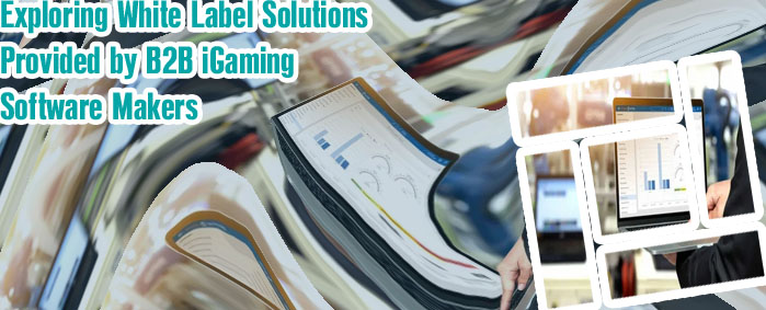 Igaming industry software solution companies